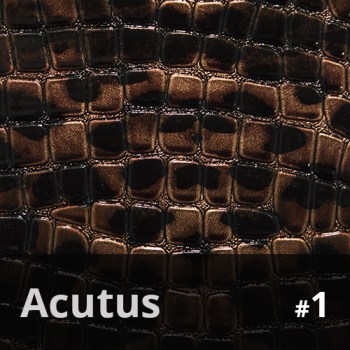 Acutus 14